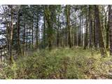  Dry Creek Rd - Photo 13