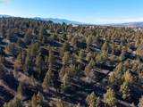 26548 Chimney Gulch Rd - Photo 41