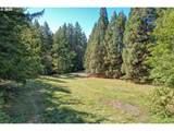 10887 Cornelius Pass Rd - Photo 2