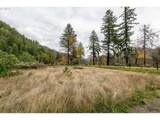 49687 Mckenzie Hwy - Photo 5