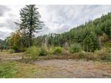 49687 Mckenzie Hwy - Photo 9