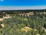33195 Highway 224 - Photo 47