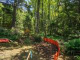 0 Shark Creek Ln - Photo 23