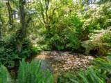 0 Shark Creek Ln - Photo 24