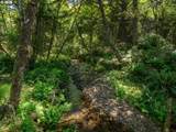 0 Shark Creek Ln - Photo 26