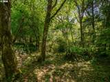 0 Shark Creek Ln - Photo 27