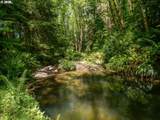 0 Shark Creek Ln - Photo 29