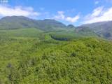 0 Shark Creek Ln - Photo 9