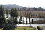 Mckenzie Hwy - Photo 9