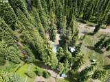 44319 Silver Crk Rd - Photo 30