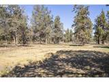 17500 Forked Horn Dr - Photo 22