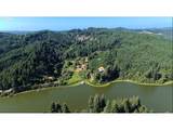 71399 Heavy Horse Rd - Photo 2