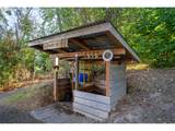 24730 Tile Flat Rd - Photo 31