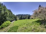 44800 Elk Mountain Rd - Photo 37