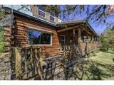 44800 Elk Mountain Rd - Photo 4