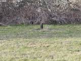 0 Omlid Dr - Photo 17