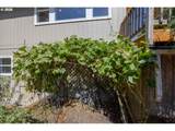 4482 Paddock Dr - Photo 42