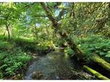 27480 Gibbs Rd - Photo 29