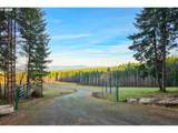  Silverwood Dr - Photo 19