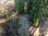 6167 Kellogg Ct - Photo 42