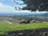 10660 Youngberg Hill Rd - Photo 46