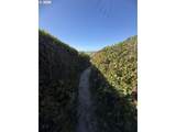  La Barre Dr. - Photo 21