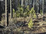  Artesian Dr - Photo 1