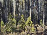  Artesian Dr - Photo 2