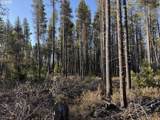  Artesian Dr - Photo 3