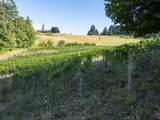 21360 Hillsboro Hwy - Photo 7