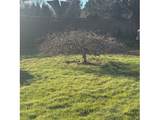 18205 Reeder Rd - Photo 31