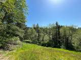 1690 Skyline Dr - Photo 39
