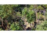 1105 Sunshine Rd - Photo 11