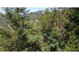 1105 Sunshine Rd - Photo 7
