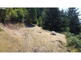 1105 Sunshine Rd - Photo 8