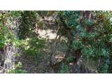 1105 Sunshine Rd - Photo 9
