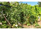 17990 Brickstone Ln - Photo 34