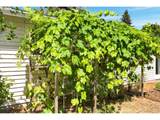 17990 Brickstone Ln - Photo 35