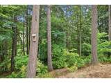 3026 Hendricks Hill Dr - Photo 39