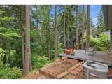 3026 Hendricks Hill Dr - Photo 41