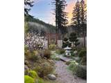 49164 Mckenzie Hwy - Photo 41