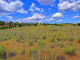  Wiley Creek Rd - Photo 34