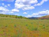 Wiley Creek Rd - Photo 40
