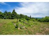 61 Bear Prairie Rd - Photo 35