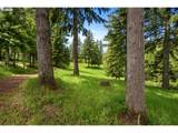 61 Bear Prairie Rd - Photo 38