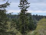 96420 Alder Ridge Rd - Photo 4