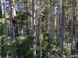  Bradley Lake Ln - Photo 11