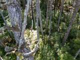  Bradley Lake Ln - Photo 12
