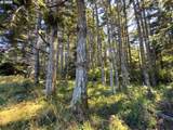  Bradley Lake Ln - Photo 15