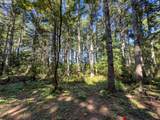  Bradley Lake Ln - Photo 16